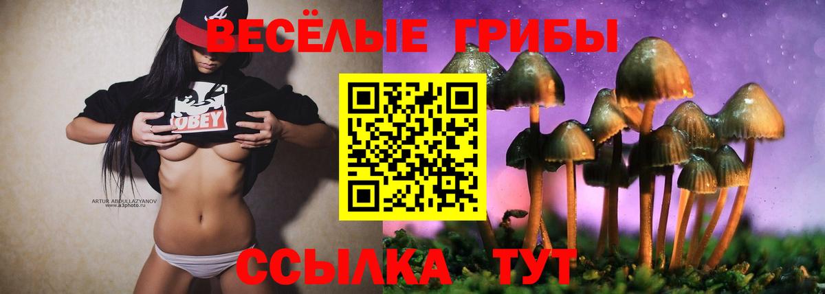 Галлюциногенные грибы GOLDEN TEACHER  где купить   Киров  Вход с VPN 